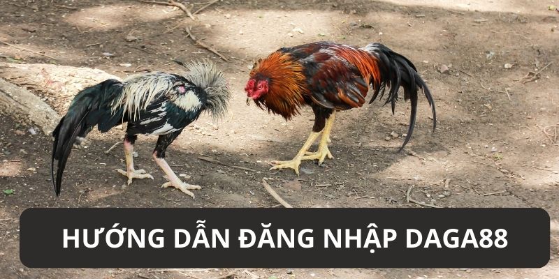 Hướng dẫn các bước thực hiện đăng nhập daga88 chi tiết