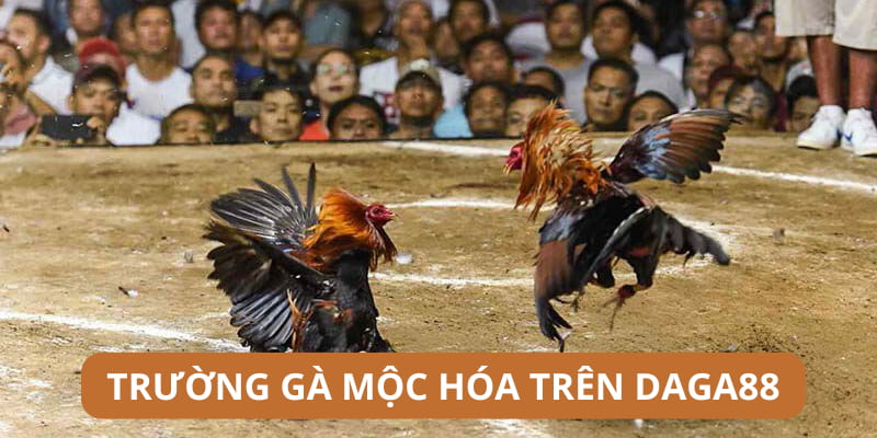 Tham gia trường đấu Mộc Hóa trên nhà cái Daga88